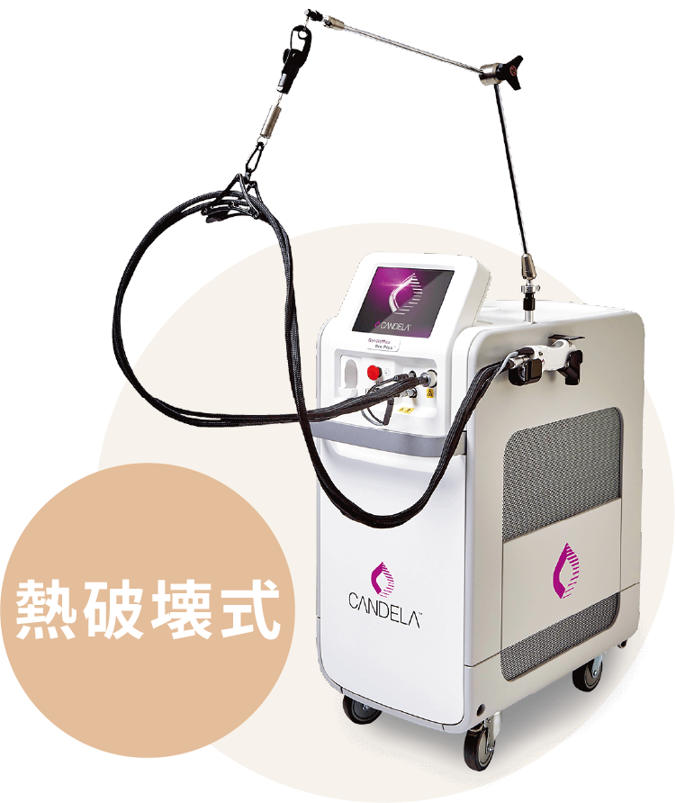 ジェントルマックスプロプラス