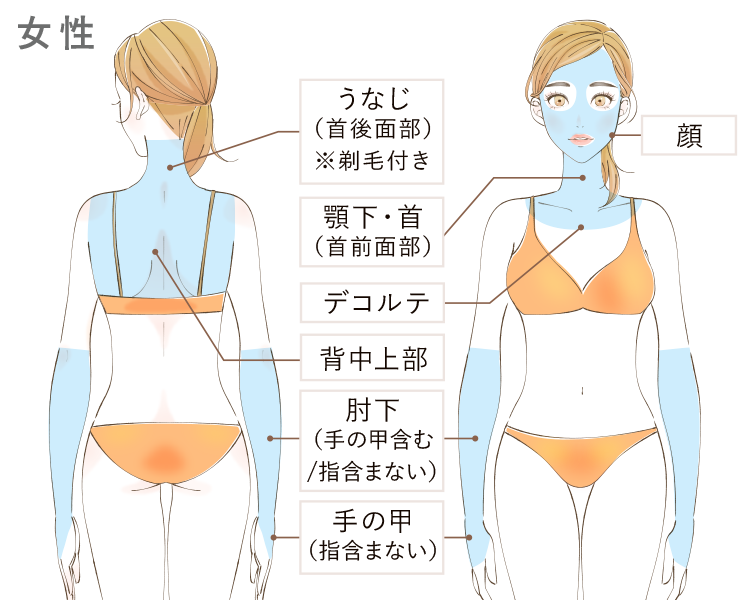 施術部位
