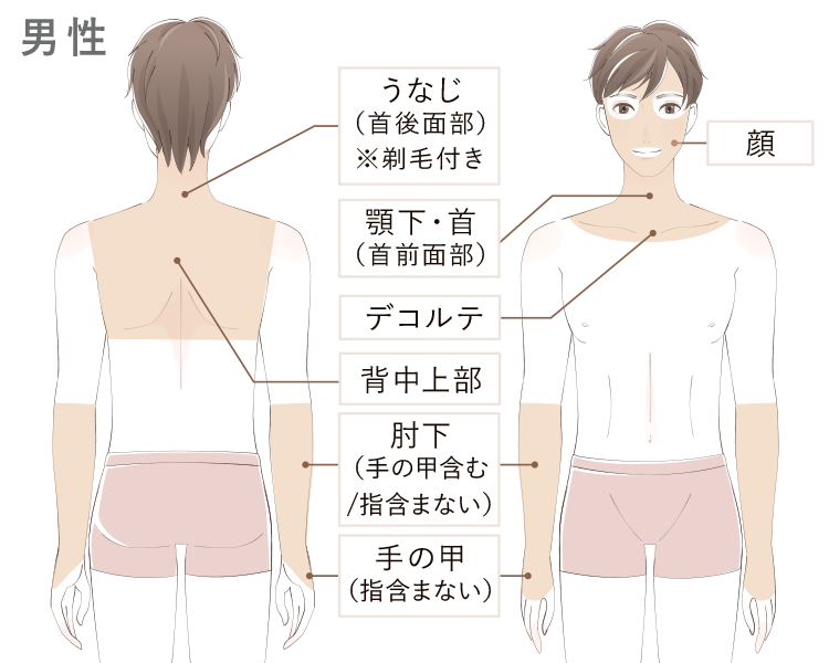 施術部位