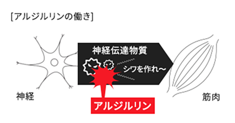 抗酸化効果指数