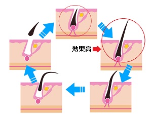 成長期の効果高い時期